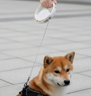 Retractable Dog Leash