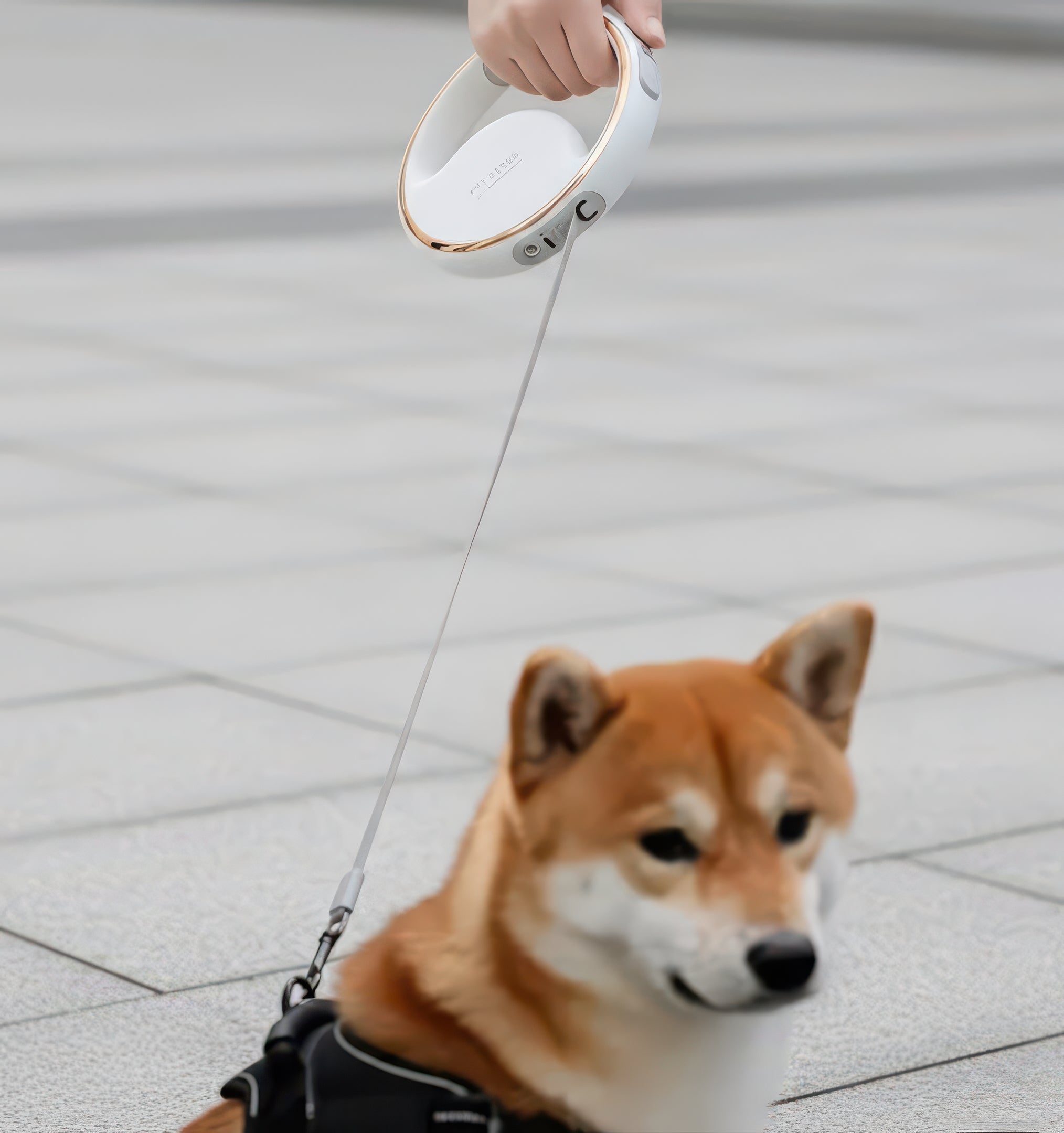 Retractable Dog Leash