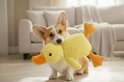 Plush Duck Dog Toy